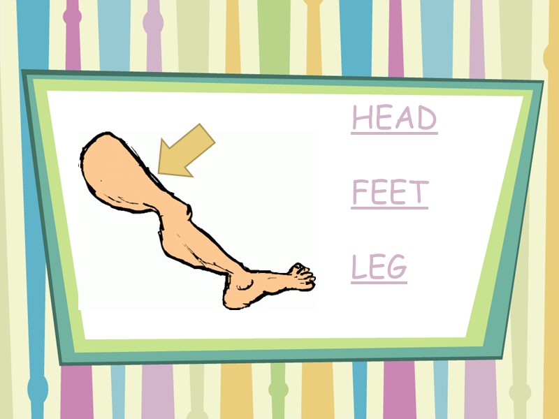 HEAD  FEET  LEG